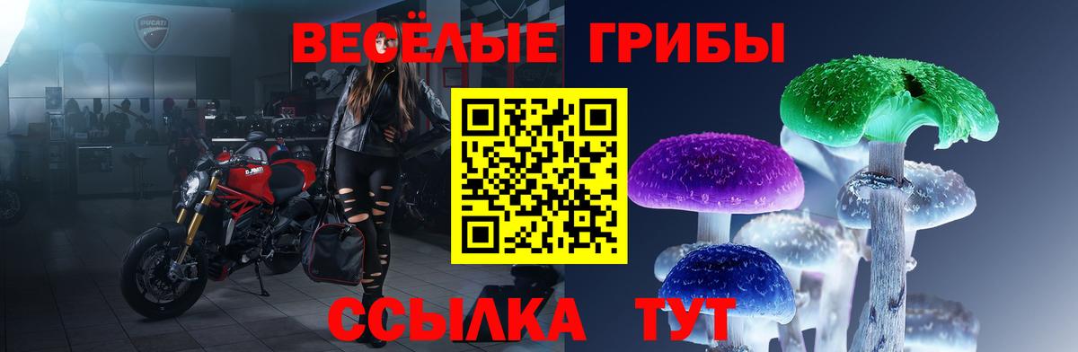 Черкесск  Псилоцибиновые грибы Magic Shrooms  Вход с VPN 